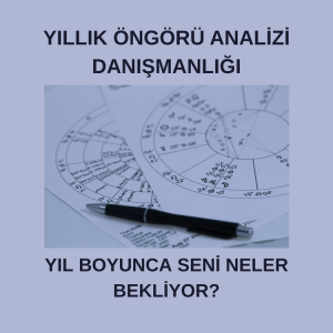 Yıllık Öngörü Analizi Danışmanlığı